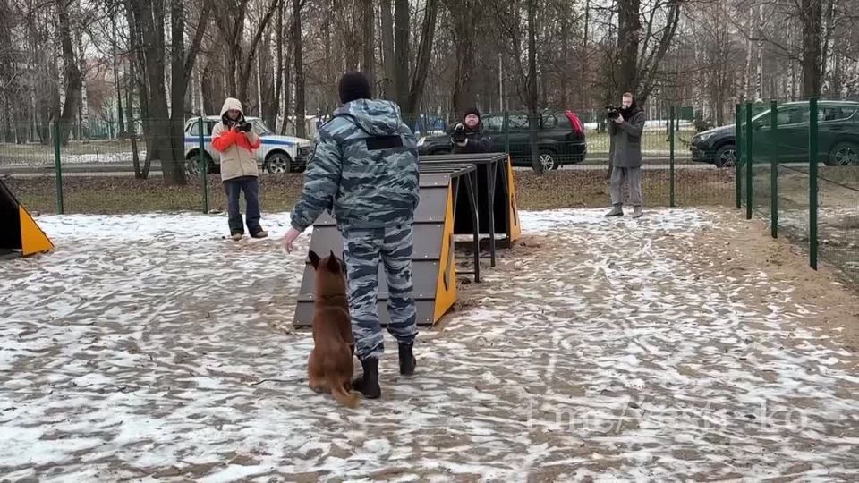 Сегодня в Гагаринском парке города Кирова состоялось открытие площадки для выгула собак