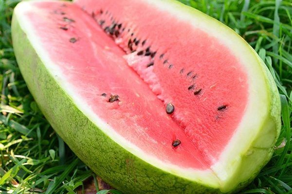 Арбуз Чарльстон Грей: как вырастить и наслаждаться сладостью