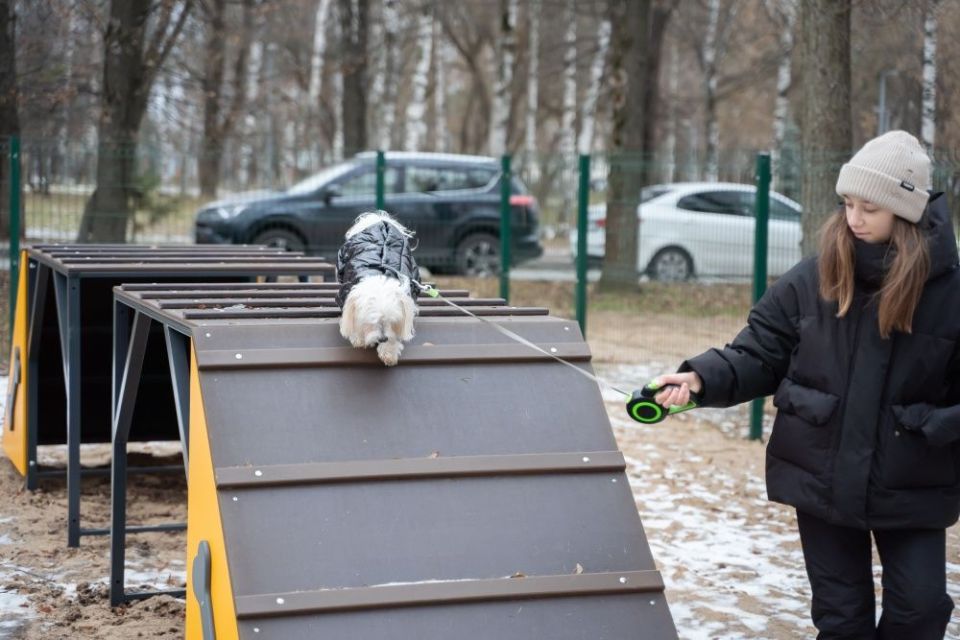 Собачья радость — в Кировском парке открыта новая площадка для выгула