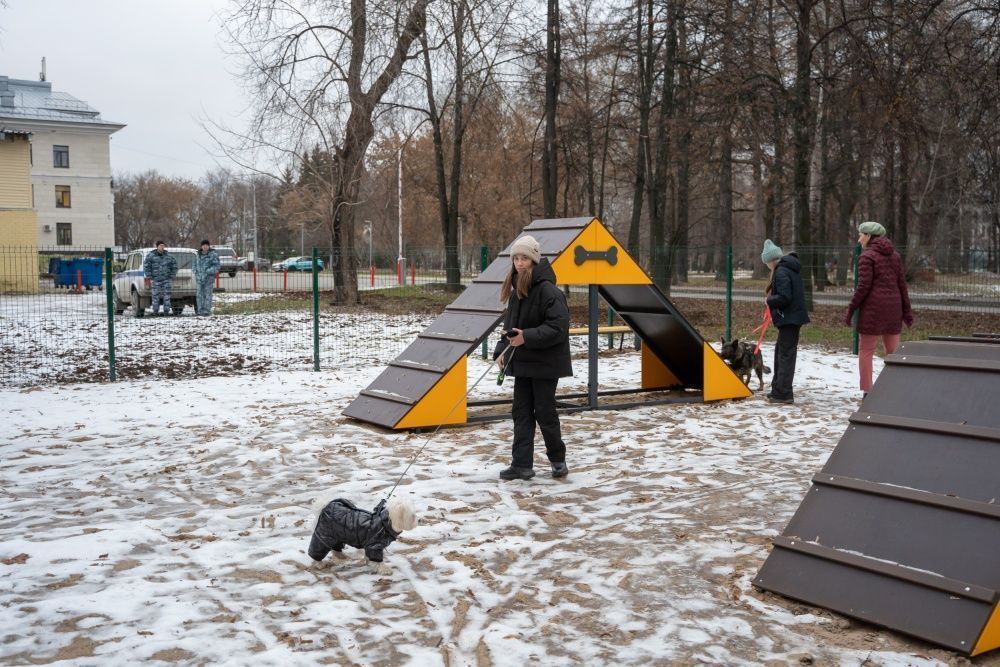 В парке им. Гагарина открылась площадка для выгула собак