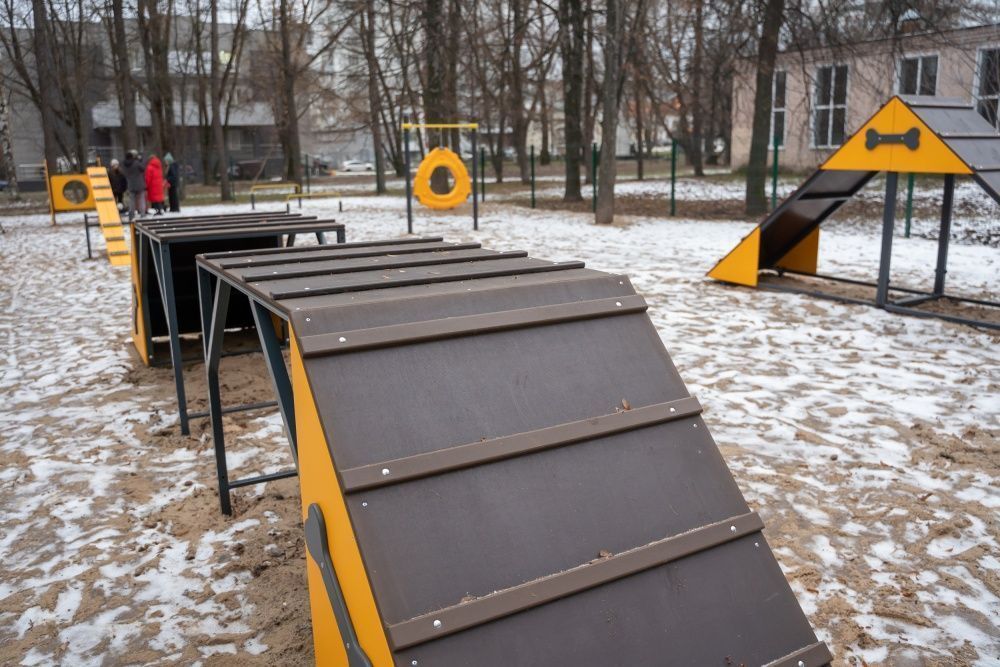 В парке им. Гагарина открылась площадка для выгула собак В парке им. Гагарина открылась площадка для выгула собак