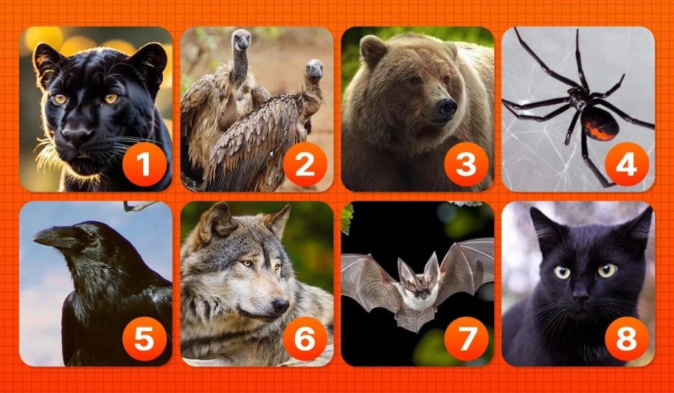 Как ваше животное может раскрыть темные стороны вашей личности