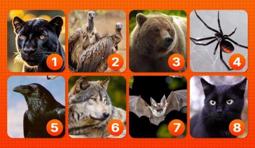 Как ваше животное может раскрыть темные стороны вашей личности