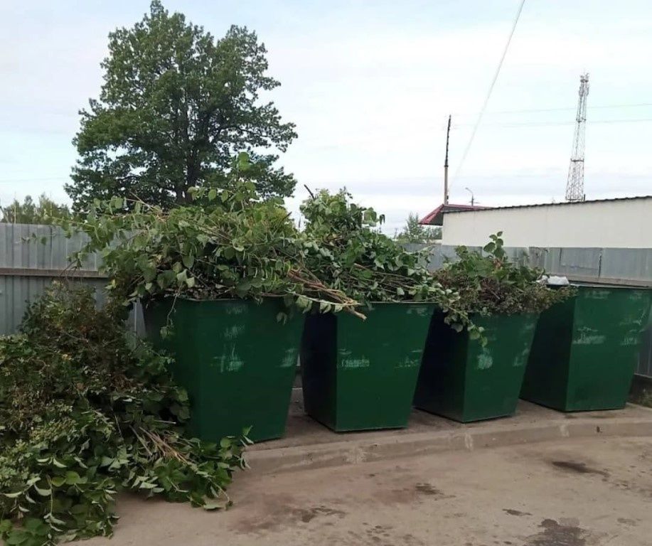 Растительные отходы больше не в тени: законопроект меняет правила утилизации