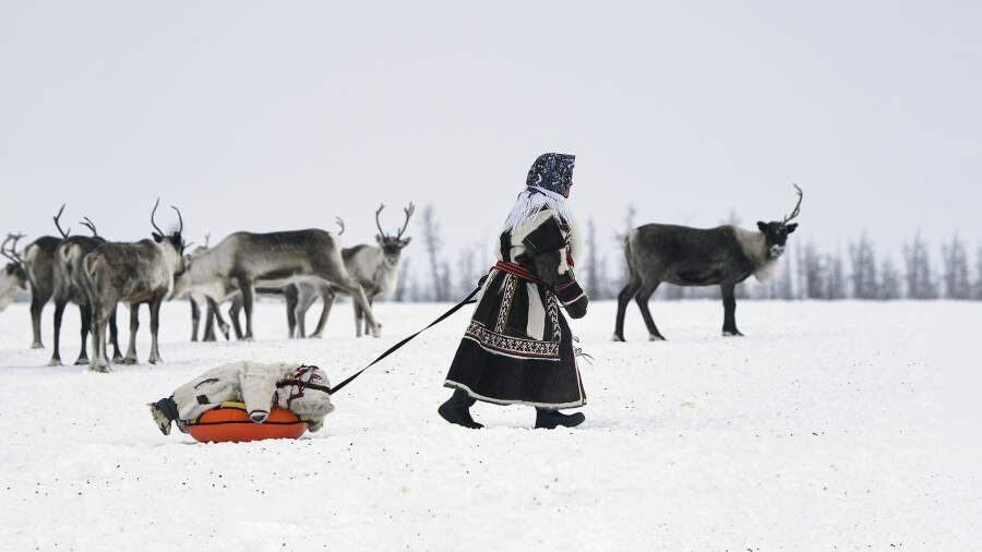 Решение для кочевников: новый закон меняет правила игры