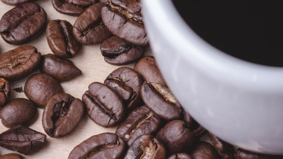 Кофейные сокровища: лучшие сорта арабики 2025 года