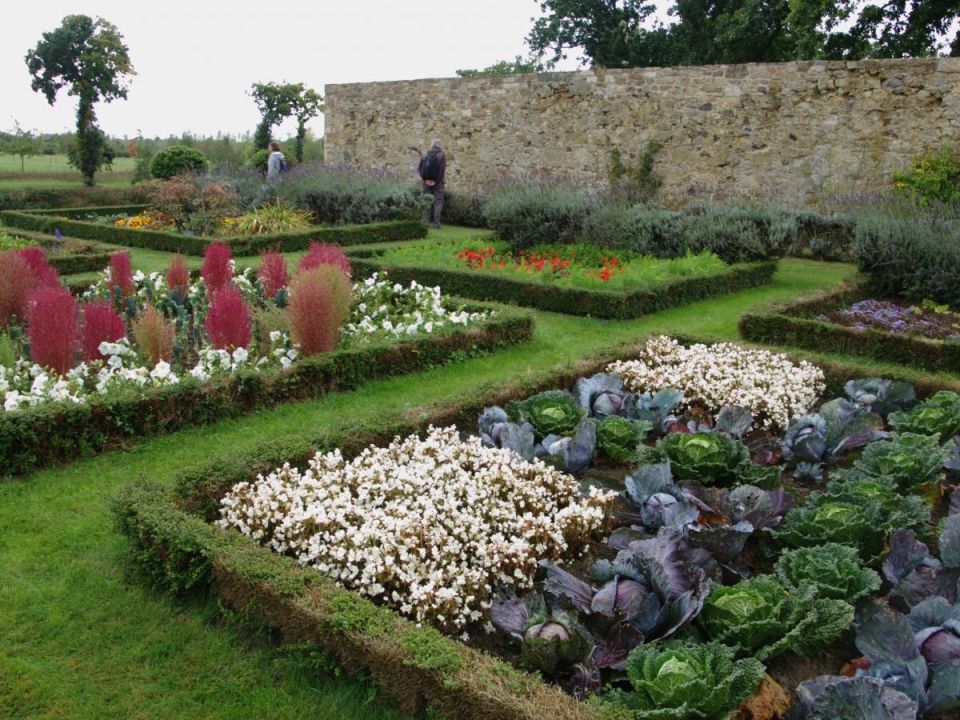 Как дождливое лето может спасти овощные посадки