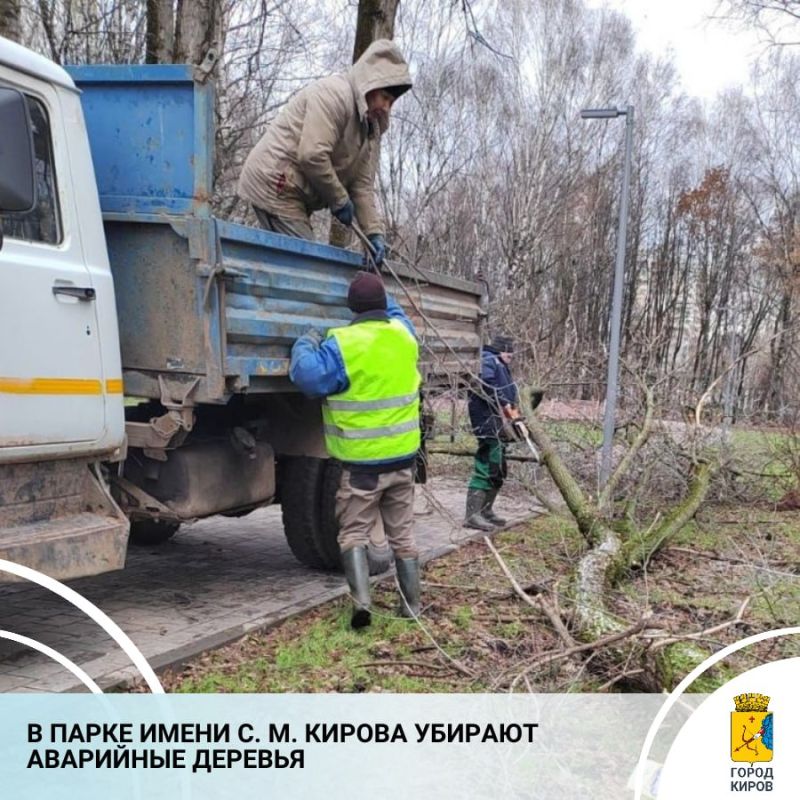 В дирекции благоустройства города Кирова прокомментировали сообщения кировчан о вырубке деревьев в парке имени С. М. Кирова. По словам специалистов, ведется уборка аварийных растений, расположенных в непосредственной...