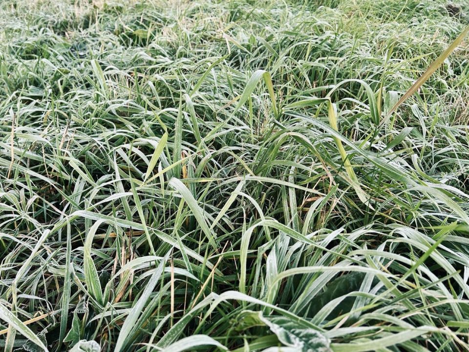 Теплая погода ждет кировчан во вторник