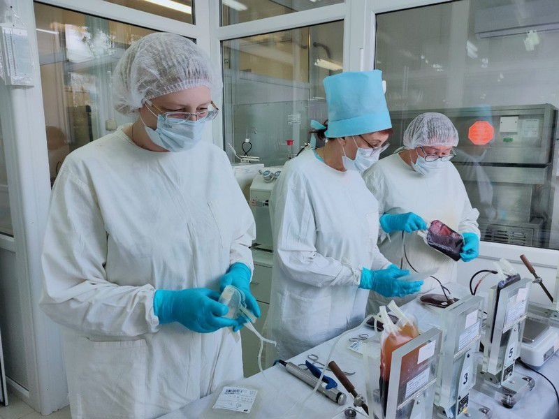 Кировская область вошла в число лидеров России по донорскому движению Кировская область вошла в число лидеров России по донорскому движению