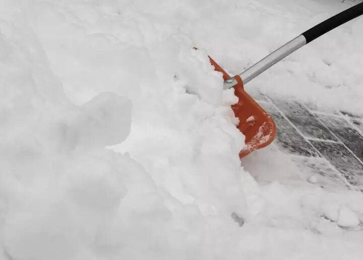 Декабрь в саду: пора заботиться о растениях и урожае