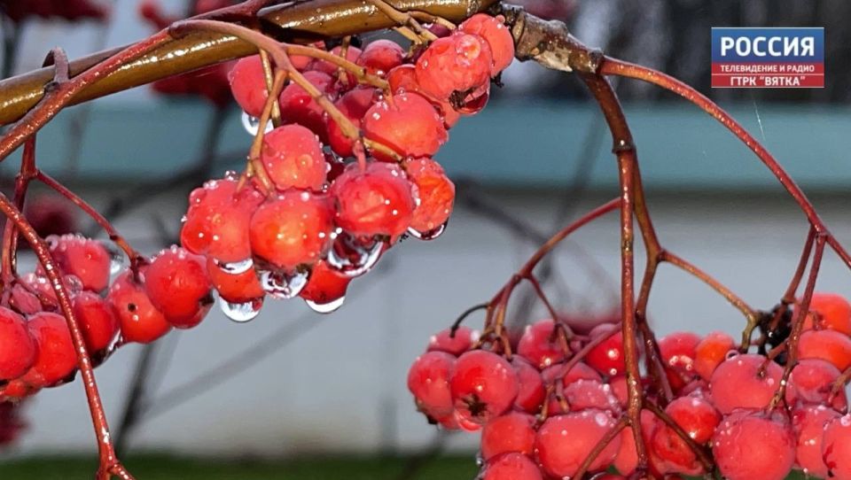 Во вторник в Кировской области возможен небольшой дождь со снегом