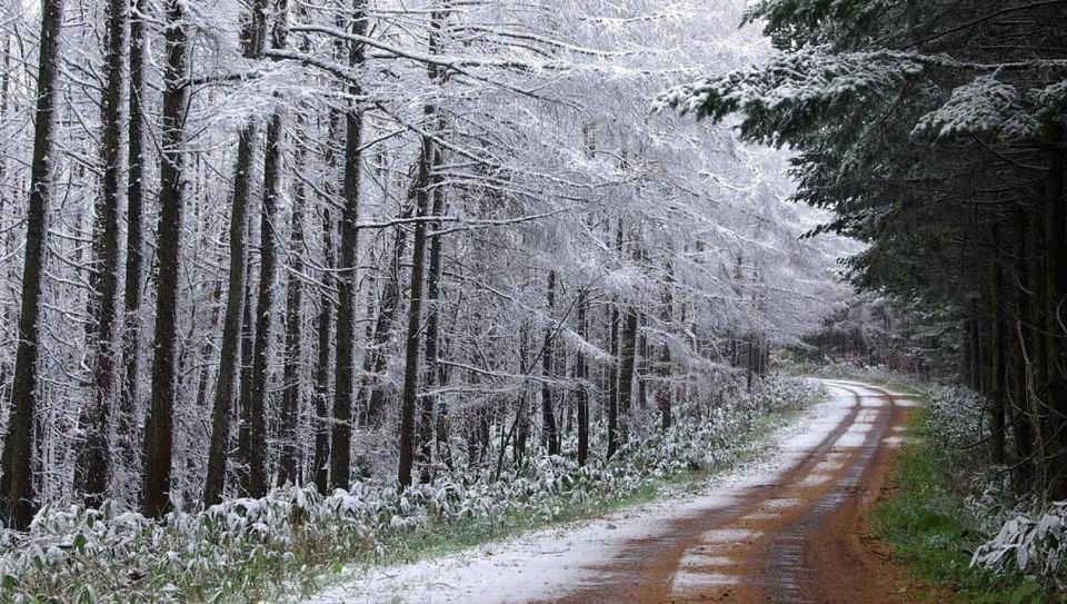 Спортшкола Верхошижемье грустно сообщает: