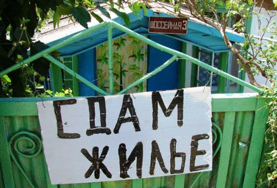 Как дача может приносить доход: 3 смелых идеи для пенсионеров