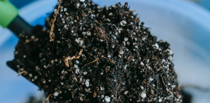 Корейская ферментация: как старинный метод меняет подход к садоводству