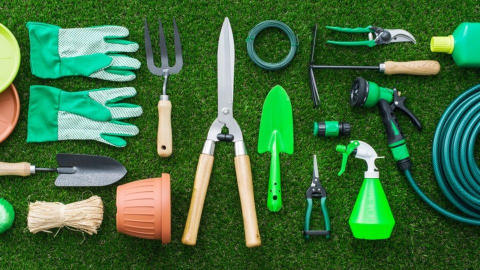 Методы экономии для дачников: готовимся к зиме без лишних трат