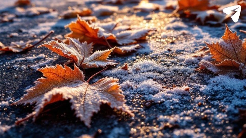 В Кирове потеплеет до +2 °C