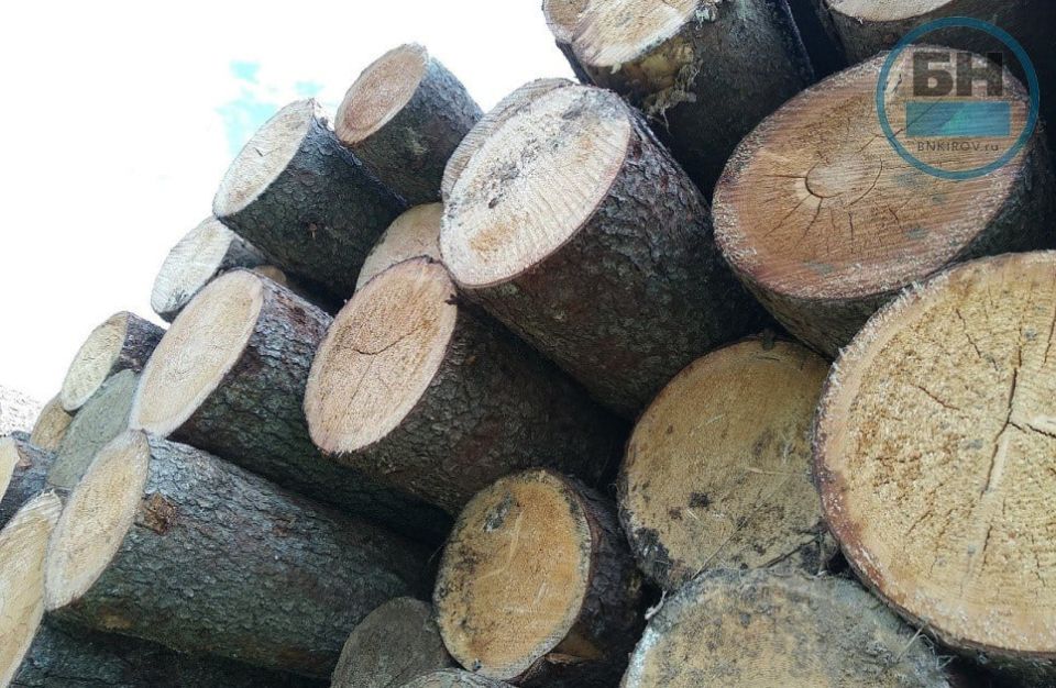 Арендаторам леса — больше древесины