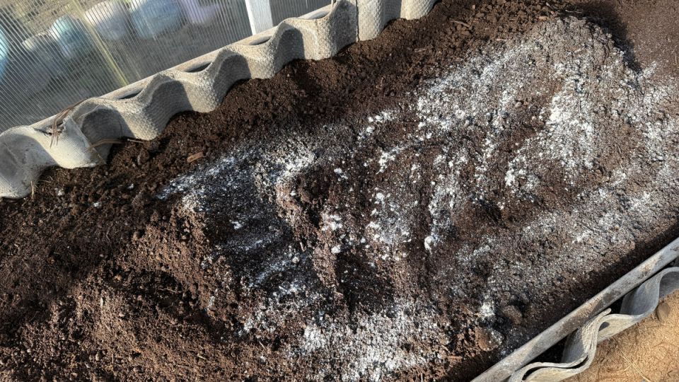 Как осенние рекомендации помогут сделать землю в теплице плодородной и лёгкой