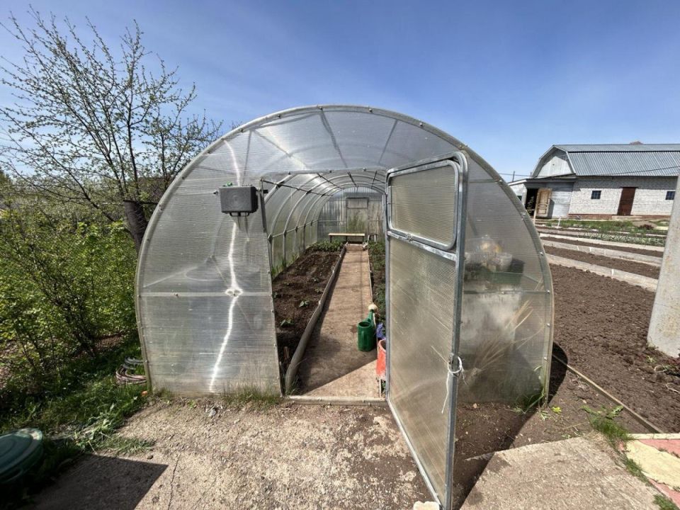 Как защитить рассаду от весенних морозов: три доступные идеи без теплицы