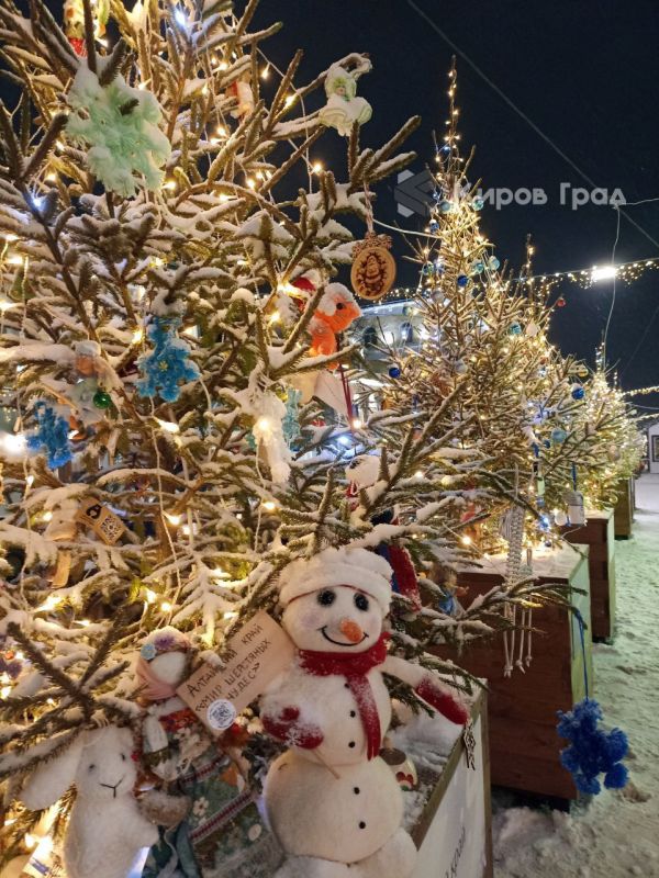 «Эмоции – новая валюта». Проект «Прогулочная Спасская» был очень востребован в прошлом году, он стал украшением города. Так считает заместитель председателя Кировской гордумы Даниил Мамин