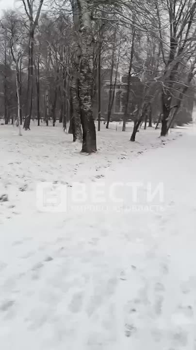 Сегодня в Кирове наконец-то выпал снег