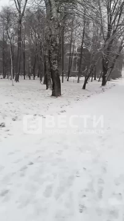 Сегодня в Кирове наконец-то выпал снег