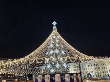 5 удивительных фактов о новогодней ёлке: