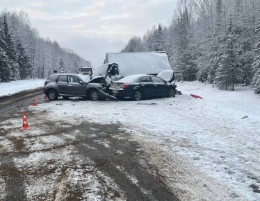 По факту происшествия в Белохолуницком районе полицейские проводят проверку