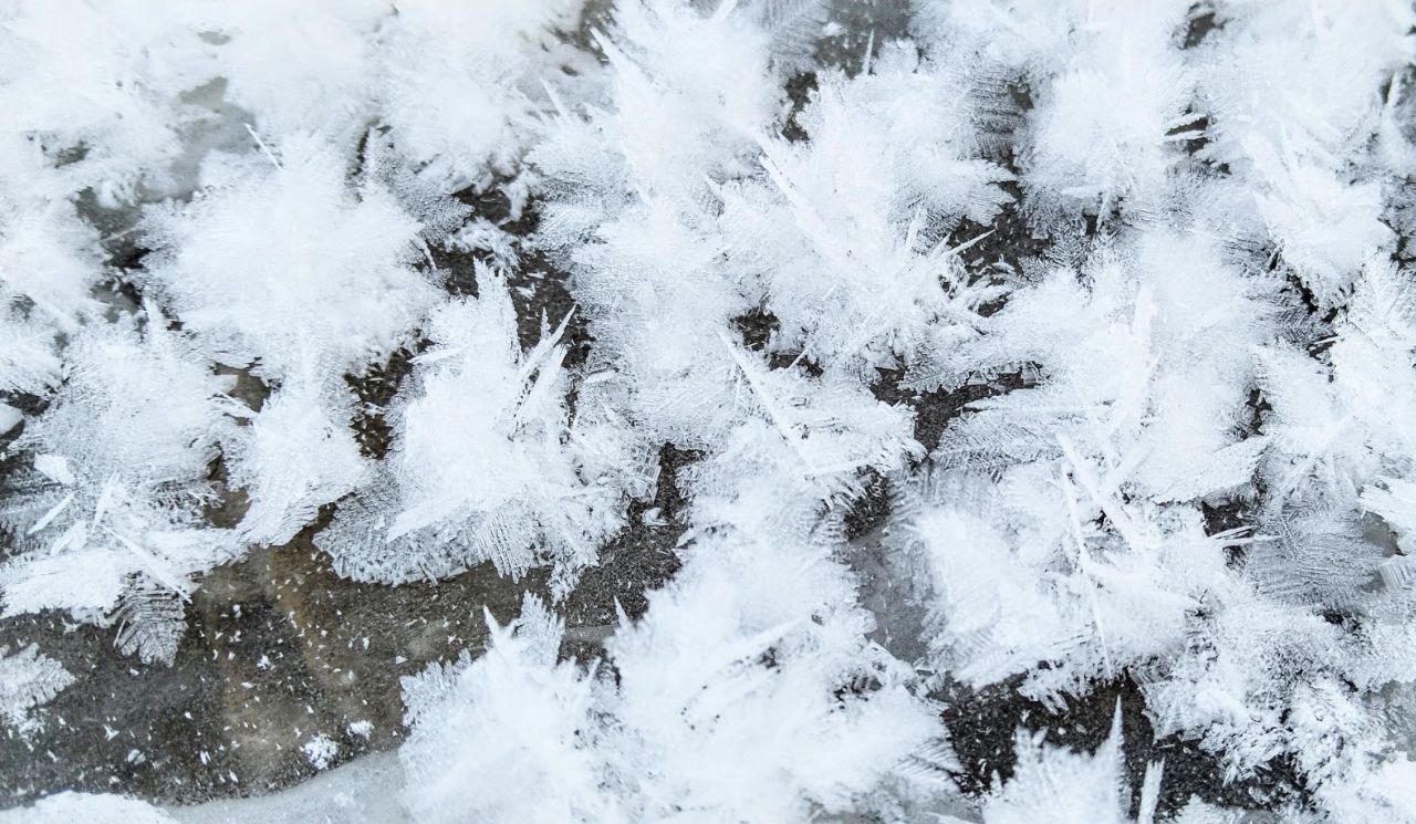 Цветы декабря. Особенно красиво выглядит в живую: от воды идёт пар, а лёд украшен такой фантастической изморозью Цветы декабря. Особенно красиво выглядит в живую: от воды идёт пар, а лёд украшен такой фантастической изморозью