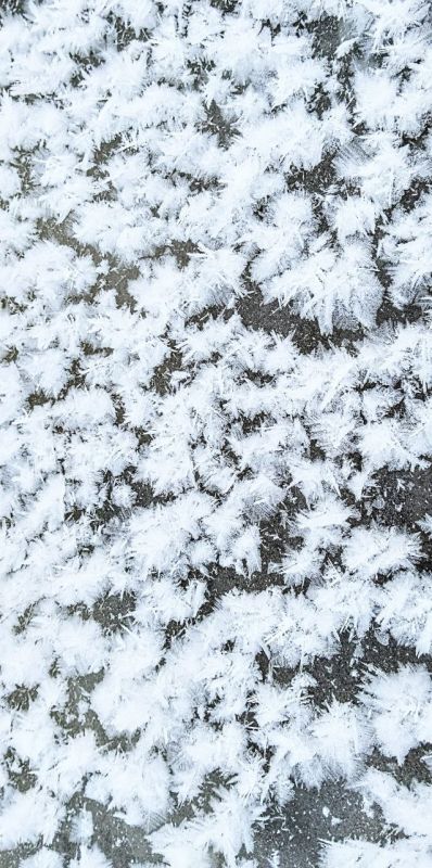 ����� �������. �������� ������� �������� � �����: �� ���� ��� ���, � �� ������� ����� �������������� ���������