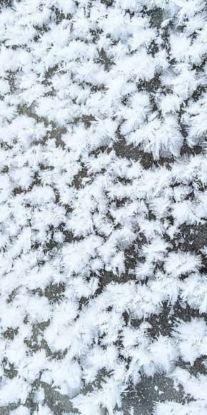 Цветы декабря. Особенно красиво выглядит в живую: от воды идёт пар, а лёд украшен такой фантастической изморозью