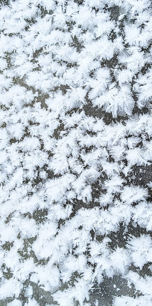 Цветы декабря. Особенно красиво выглядит в живую: от воды идёт пар, а лёд украшен такой фантастической изморозью