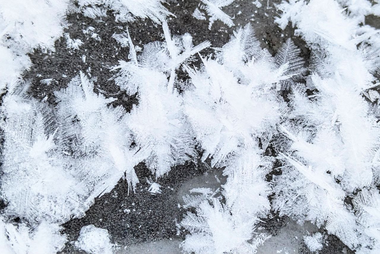 Цветы декабря. Особенно красиво выглядит в живую: от воды идёт пар, а лёд украшен такой фантастической изморозью Цветы декабря. Особенно красиво выглядит в живую: от воды идёт пар, а лёд украшен такой фантастической изморозью