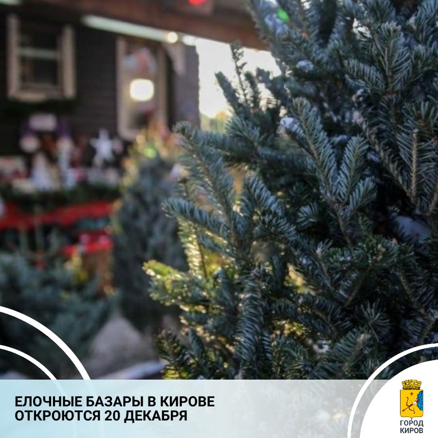 С 20 декабря в Кирове уже традиционно начнут работать елочные базары