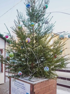 Найди ёлку своего округа! В Кирове на Спасской улице проводится зимний фестиваль ёлок