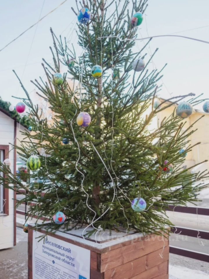 Найди ёлку своего округа! В Кирове на Спасской улице проводится зимний фестиваль ёлок