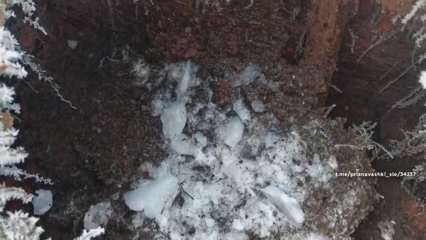 � ���������� ����������� ������������ ������ ����������� ������������ ������� ��� ���������� ����������� �������