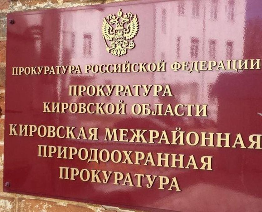 Кировская межрайонная природоохранная прокуратура потребовала от арендатора организовать восстановление леса на площади более 1 гектара