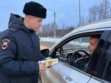 Полицейские рассказали водителям о важной роли взрослых в обеспечении безопасности детей-пассажиров, объясняя принципы выбора детского автокресла