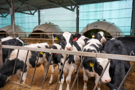 Хозяйства Куменского района — лидеры по производству молока в Кировской области