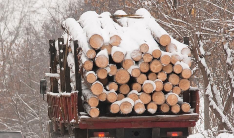 �� ��� � ��������� ������� ������� 12 ������� ����������� ������ ���� ��� ���������� ����������� ������������