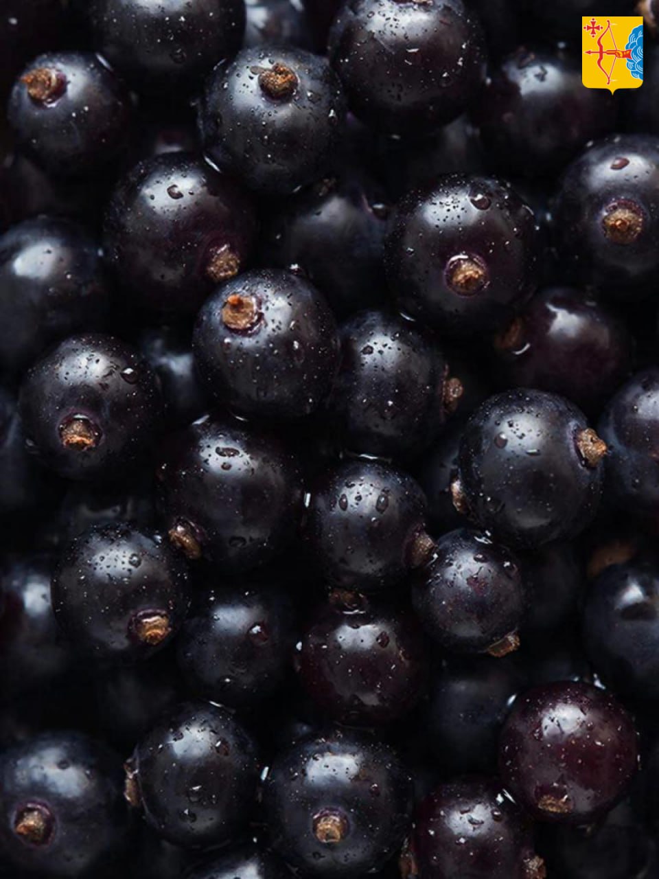 Кирово-Чепецкий фермер Владимир Березин в рамках областной программы поддержки семейных ферм получил областной грант в 10,1 млн рублей