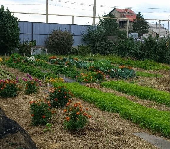 ��������� � ����� ������: ������� ���������� � ������