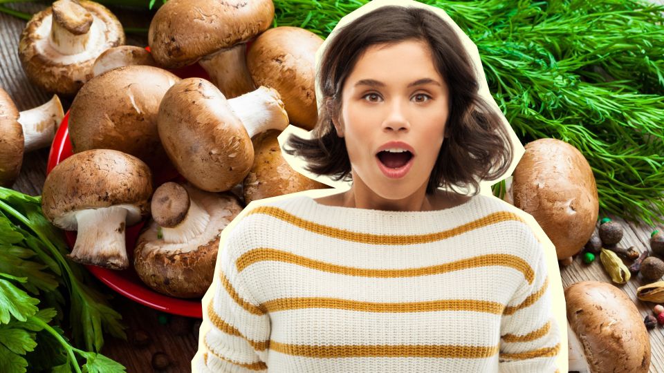 ������� �� ������� ��� � �������: 98% ������ ���������� � ���� �����������