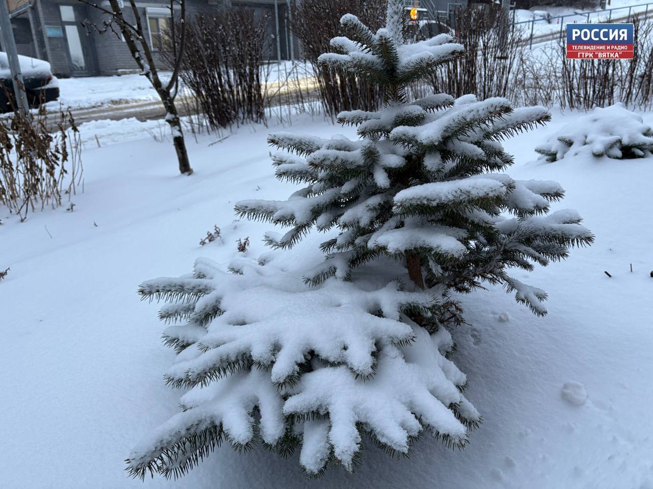 В субботу, 13 декабря, в Кировской области ожидается облачная с прояснениями погода, местами небольшой снег — таков прогноз регионального центра по гидрометеорологии и мониторингу окружающей среды