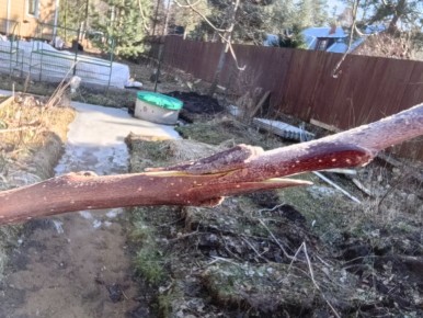 Весна — время заботы о саде