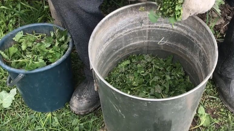 ��� ��������� ������ ���������� ���������� � ��������� �������