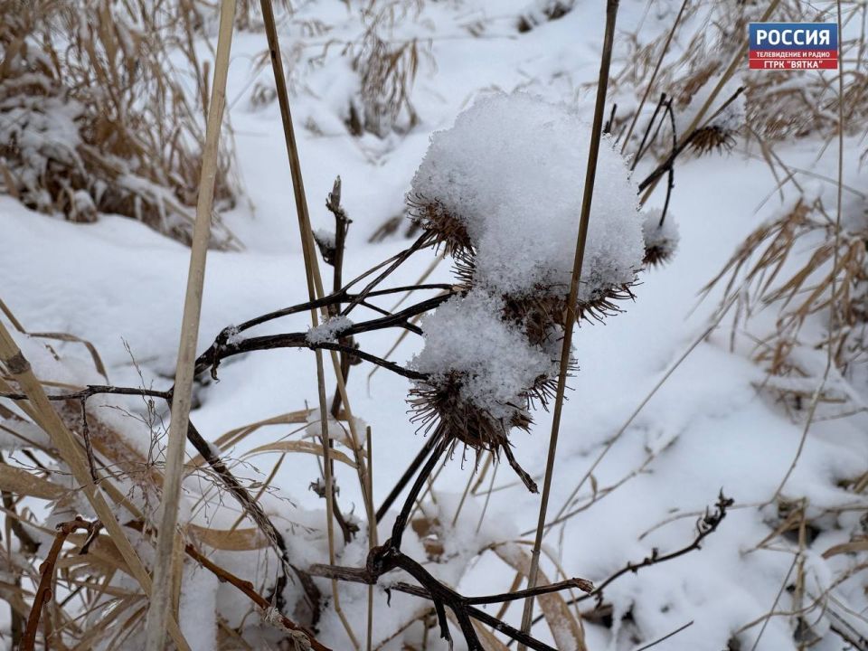 � �����������, 14 �������, � ��������� ������� ��������� �������� � ������������ ������, ��� ������������ �������, ������� ��������� ���� � ������ � ����� ������� ������������� ������ �� ����������������� � �����������...