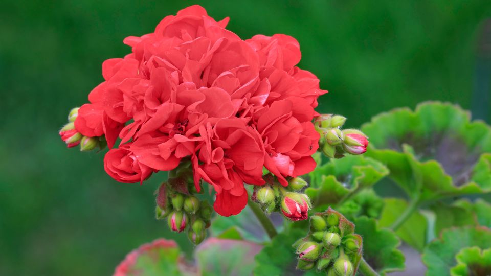 ����� ����� ������ �������� ������ ������� �����: ����� ������� ����� ������� ��� ���